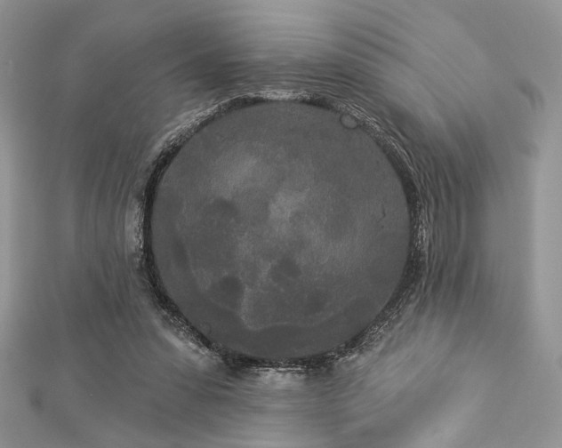 X0000112820303200908211211