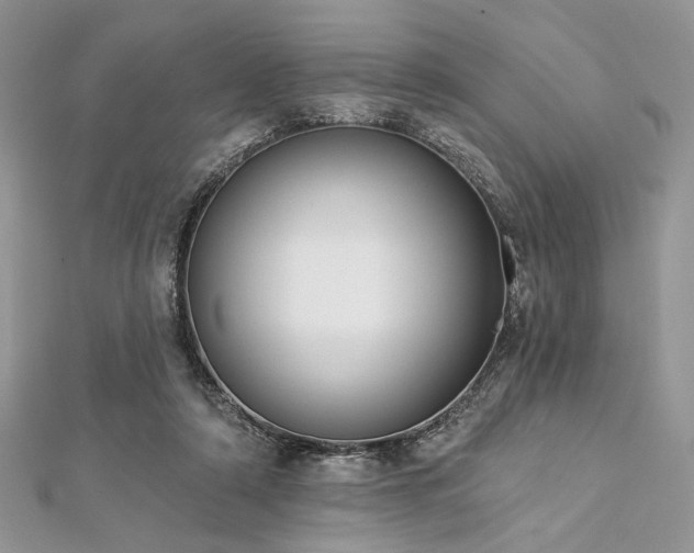 X0000112820306200908211211