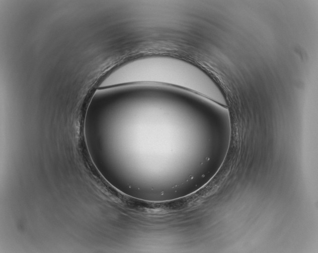 X0000112820309200908211211