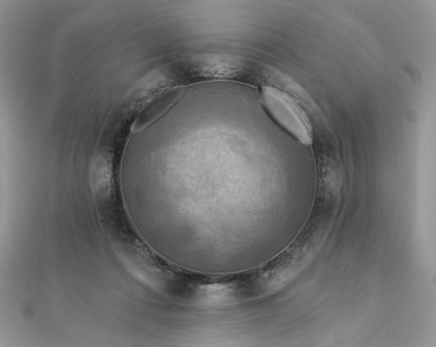 X0000112820312200908211211