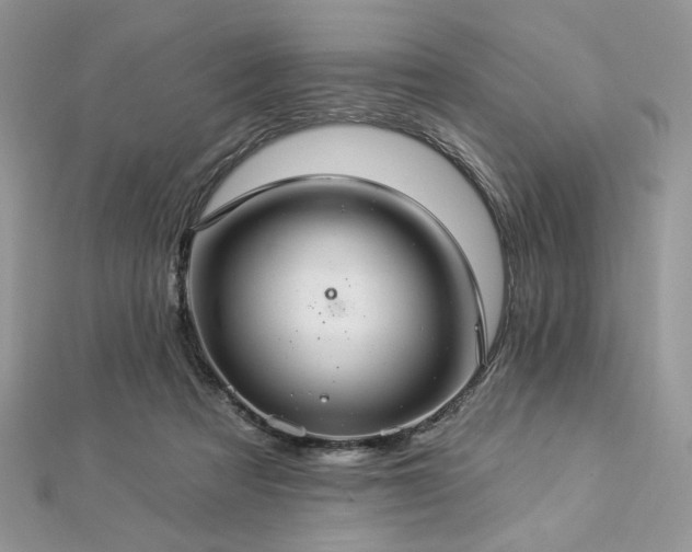 X0000112820313200908211211