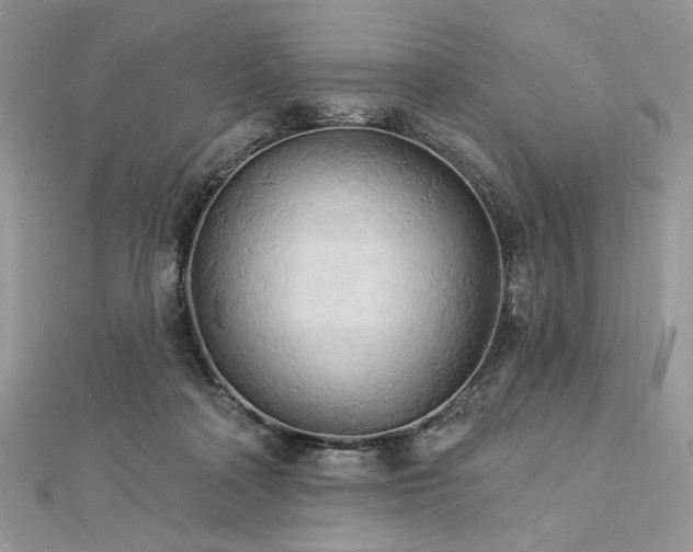 X0000112820314200908211211