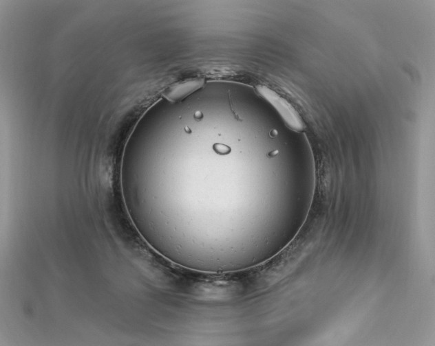 X0000112820315200908211211