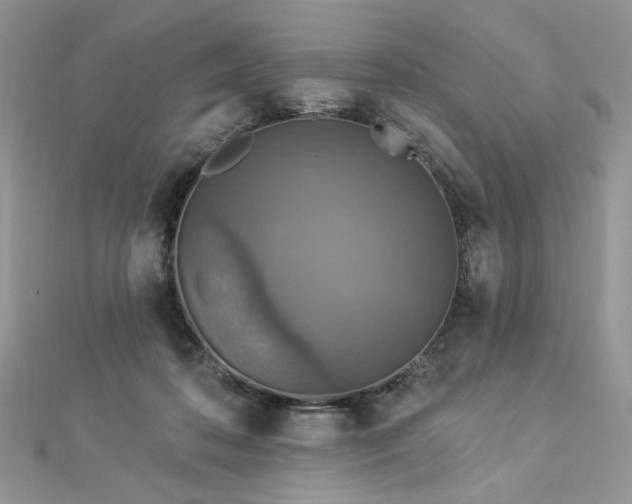 X0000112820316200908211211