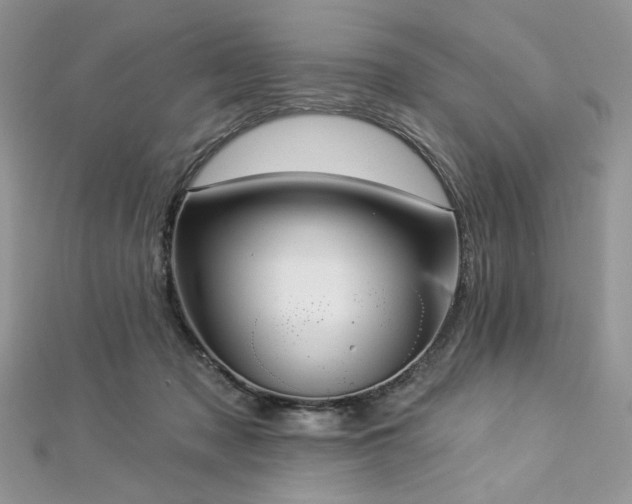 X0000112820317200908211211