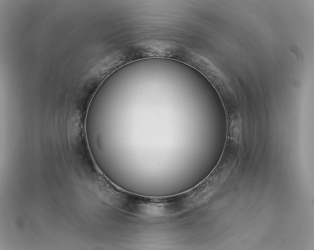 X0000112820318200908211211