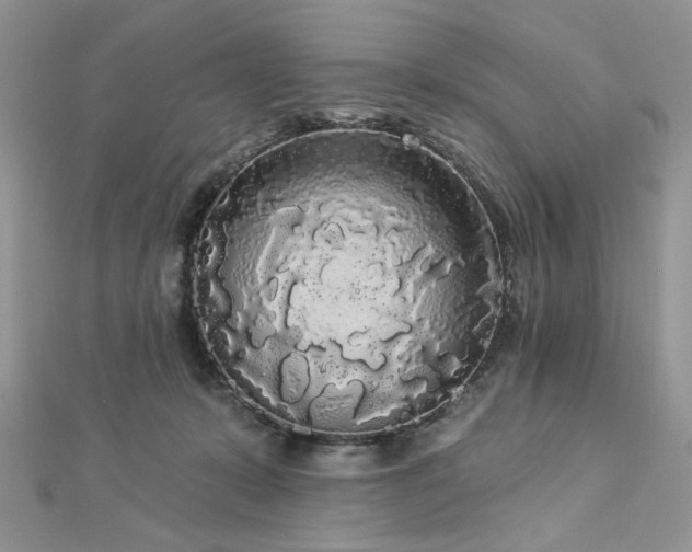 X0000112820319200908211211
