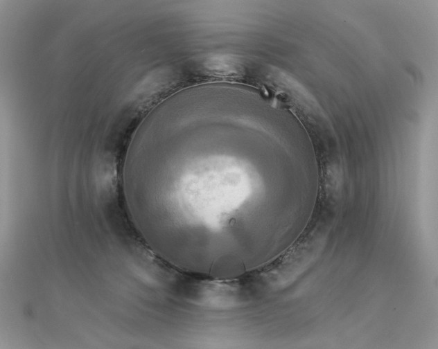 X0000112820320200908211211