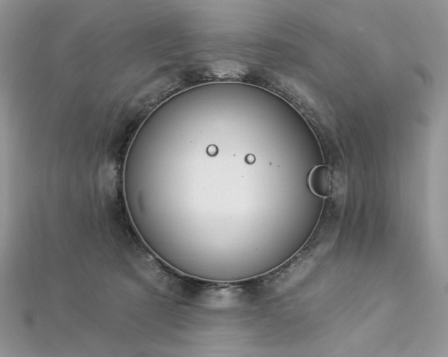 X0000112820321200908211211