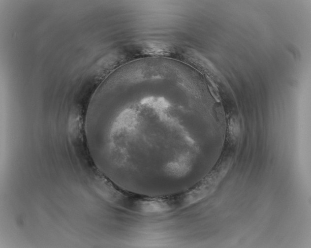 X0000112820322200908211211