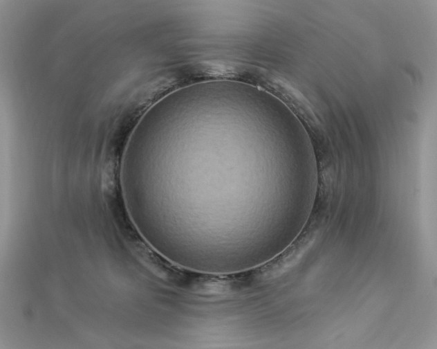 X0000112820325200908211211