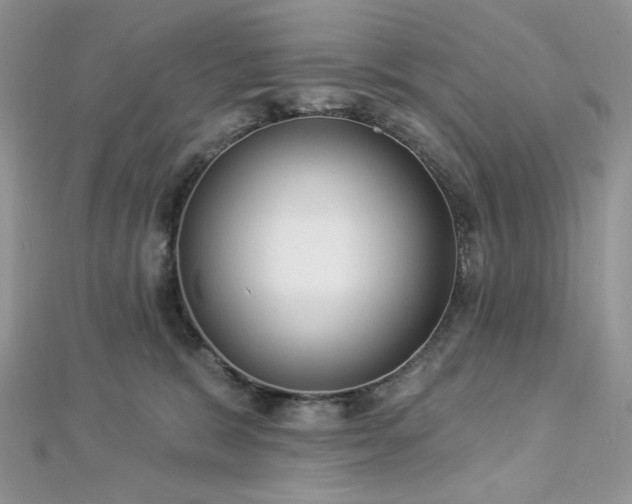 X0000112820327200908211211