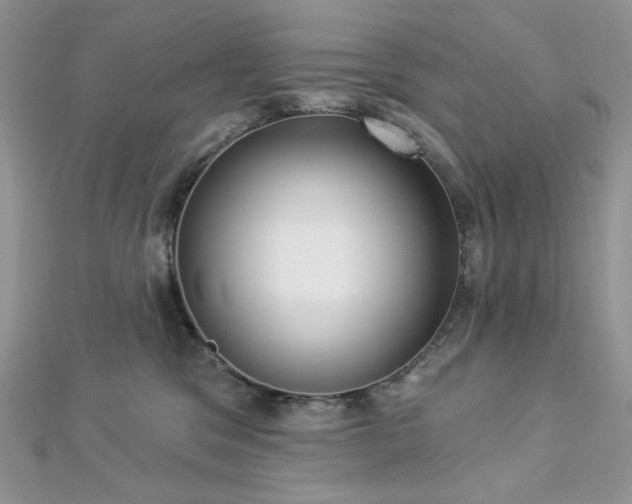X0000112820329200908211211