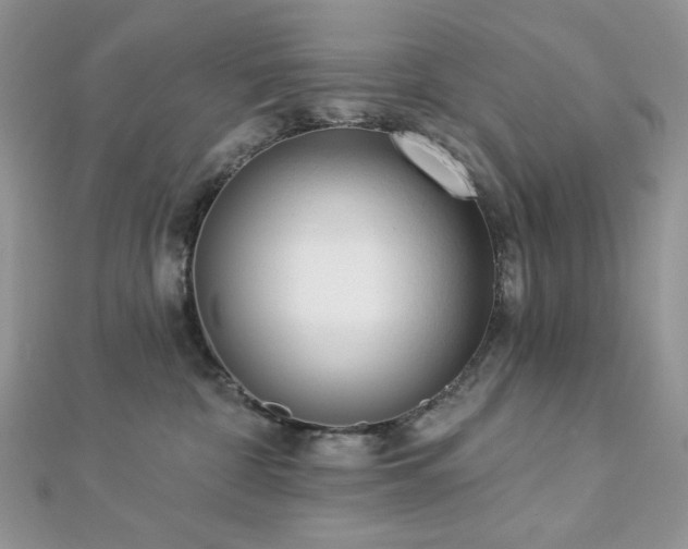 X0000112820332200908211211