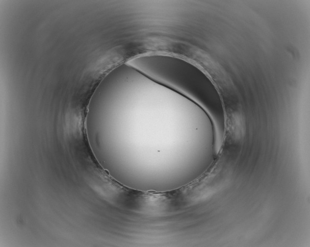 X0000112820333200908211211