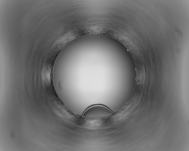 X0000112820334200908211211