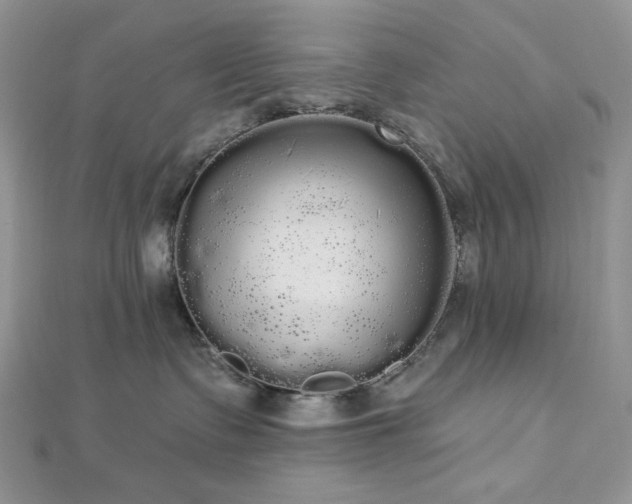 X0000112820335200908211211