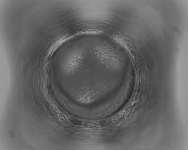 X0000112820337200908211210