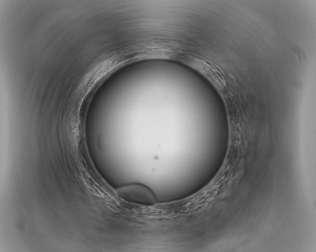 X0000112820338200908211210