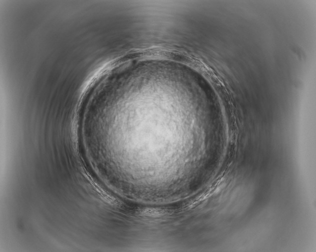 X0000112820341200908211210