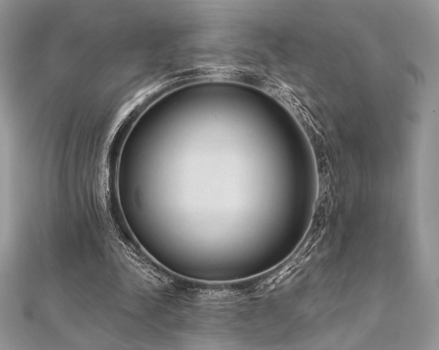 X0000112820342200908211210
