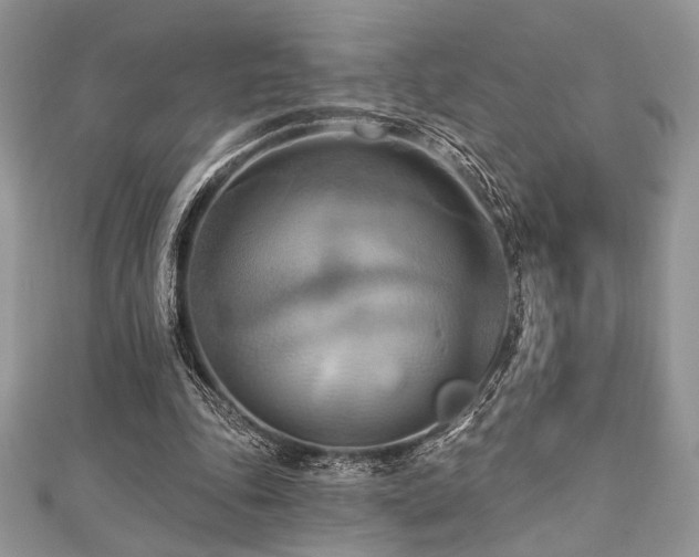 X0000112820343200908211210