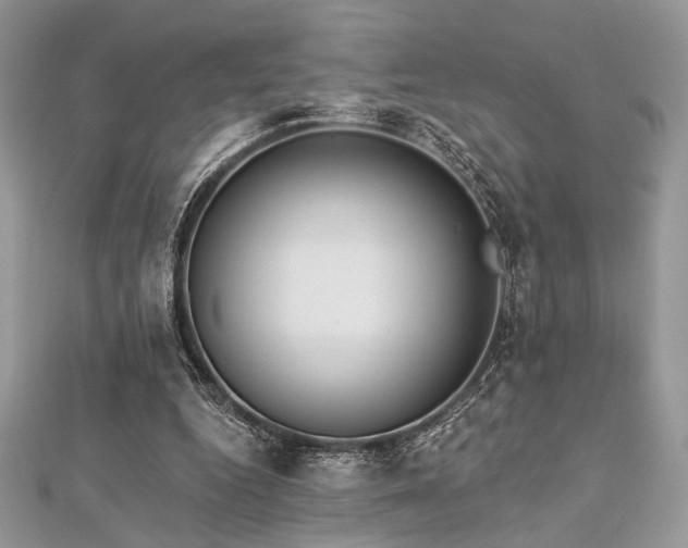 X0000112820344200908211210