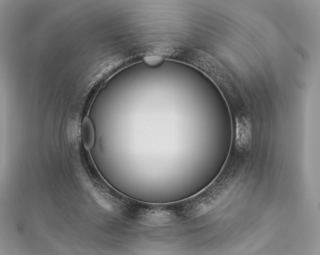 X0000112820348200908211211