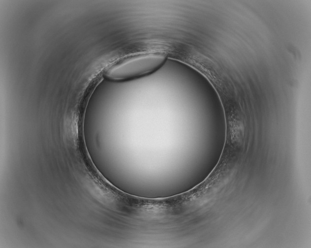 X0000112820350200908211211