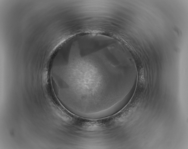 X0000112820351200908211211
