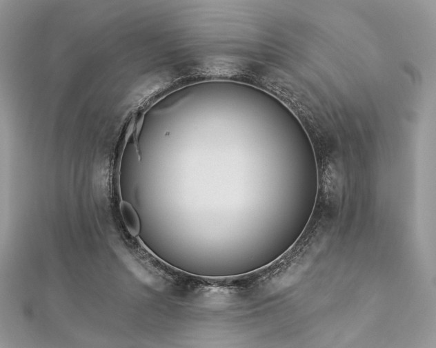 X0000112820352200908211211