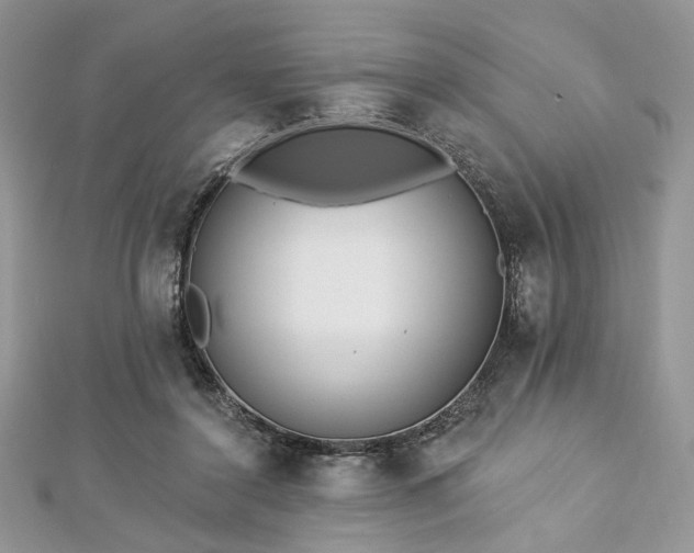 X0000112820356200908211211