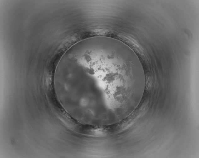 X0000112820365200908211211