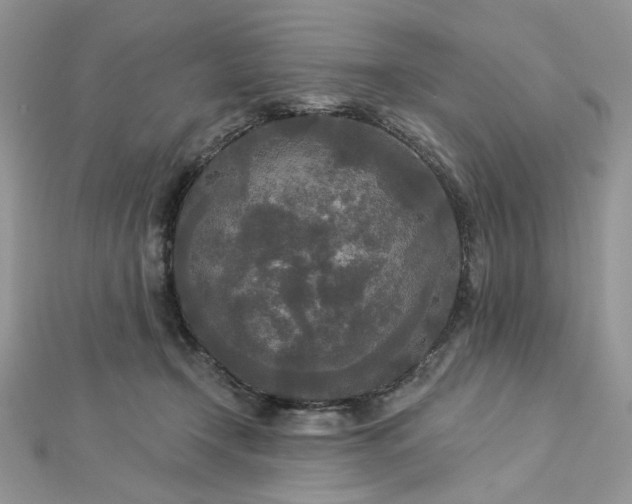 X0000112820366200908211211
