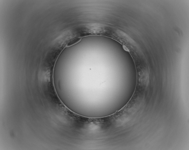 X0000112820368200908211211