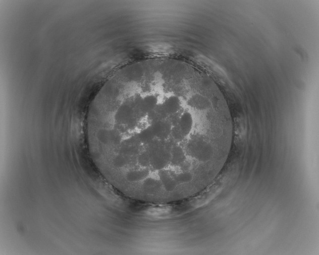 X0000112820369200908211211