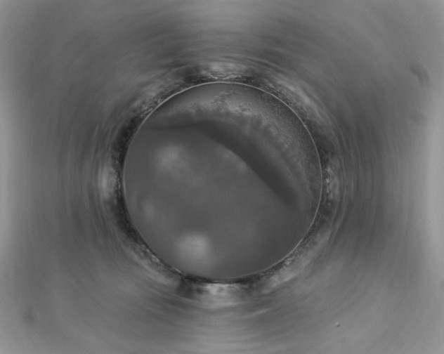 X0000112820371200908211211