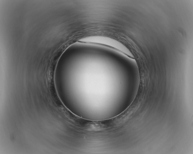 X0000112820372200908211211