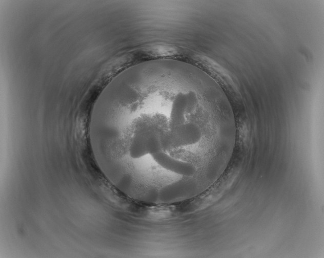 X0000112820373200908211211