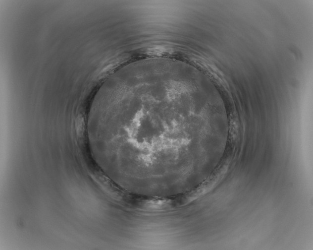 X0000112820375200908211211