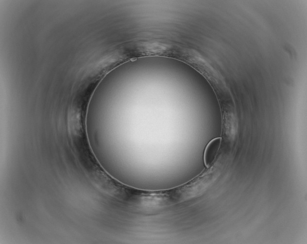 X0000112820378200908211211