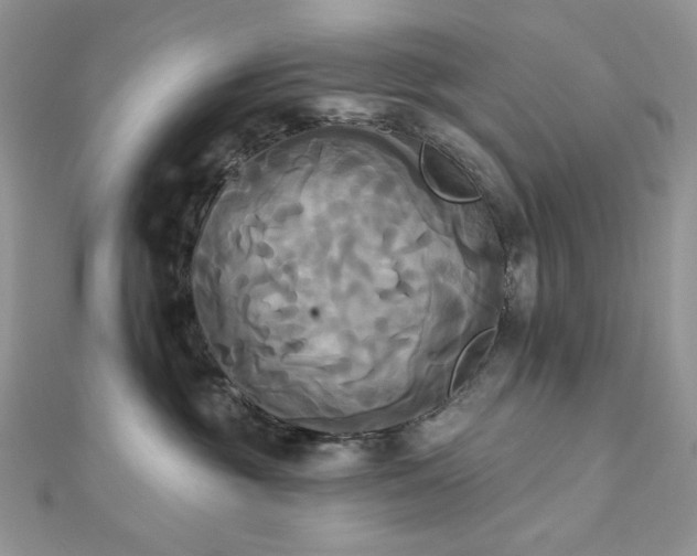 X0000112820381200908211211