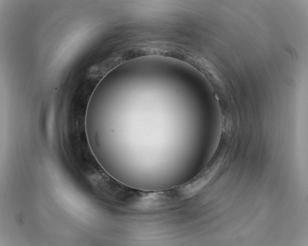 X0000112820382200908211211