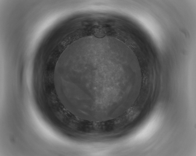 X0000112820383200908211211