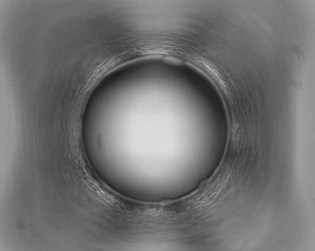 X0000112820385200908211210
