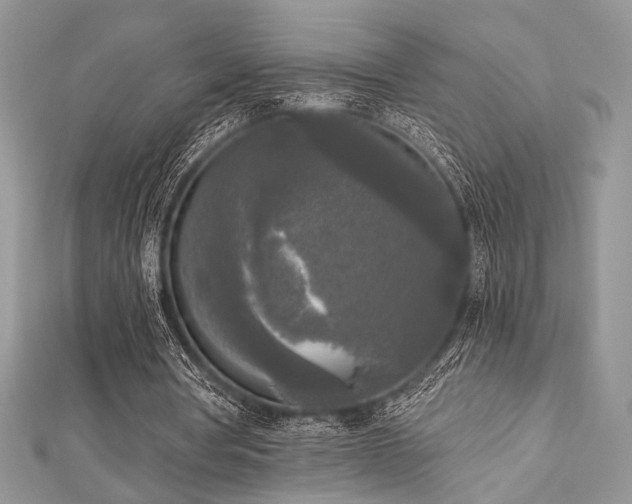 X0000112820386200908211210