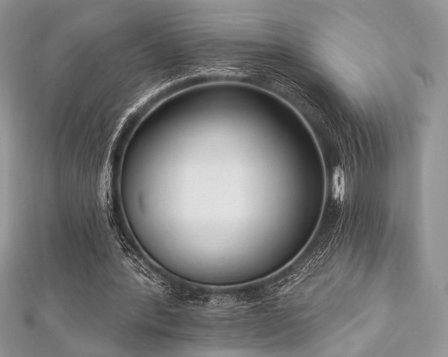 X0000112820388200908211210