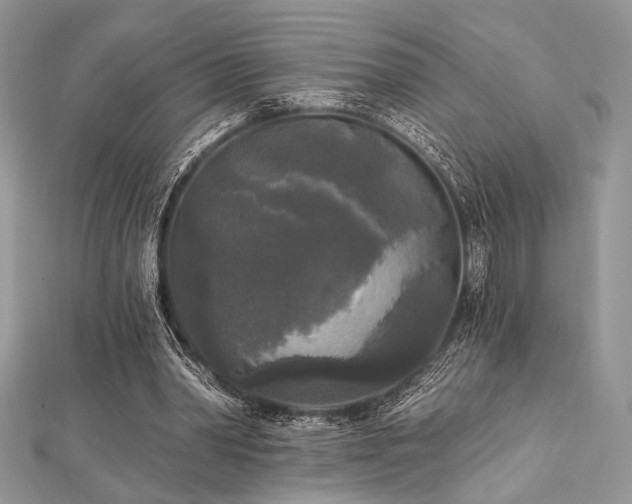 X0000112820390200908211210