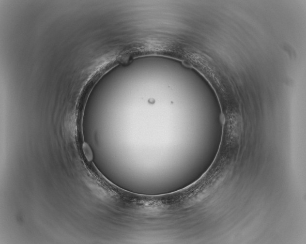X0000112820395200908211210