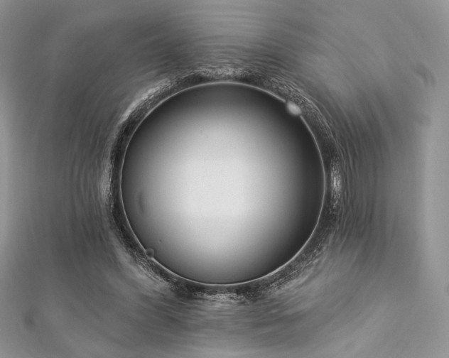 X0000112820396200908211210